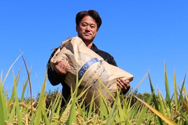 【令和7年度産】大和米　奈良県広陵町産　もち白米　3升(1升×3　4.2kg)