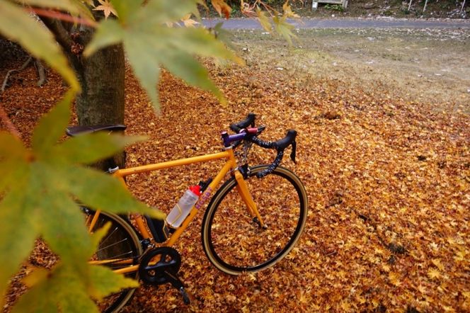 和尚のガイドで巡る自転車ツアー「ディープな京都・宇治田原」2名様分【緑茶発祥の地／kyoto♥のまち】 体験チケット 旅行 観光 サイクリング アクティビティ ビュースポット グルメスポット 