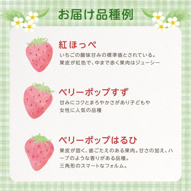 いちご　4パック 兵庫県 加西市 果物類 苺 イチゴ 果物詰合せ フルーツ