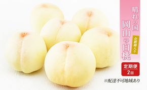 桃 定期便 2026年 先行予約 晴れの国 岡山 の 白桃 ×2回 お届け 1回目 白桃 6玉（1玉250g以上）／2回目 白桃 6玉（1玉300g以上） 化粧箱入り もも モモ 岡山産 国産 フルーツ 果物 ギフト