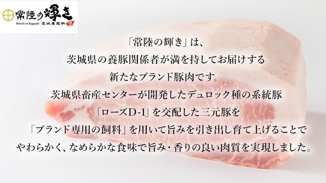 【 常陸の輝き 】 豚 ロース ブロック 約2kg (茨城県共通返礼品) 国産 国内産 豚肉 ポーク ロース かつ丼 ステーキ トンテキ とんかつ 焼肉 バーベキュー BBQ 贈り物 [ET08-NT]