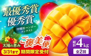 【全2回】太陽の恵み マンゴーご褒美便 (総計4kg) マンゴー 2026 沖縄 果物 フルーツ ギフト 沖縄市 / 仲村農園[BCZZ053]