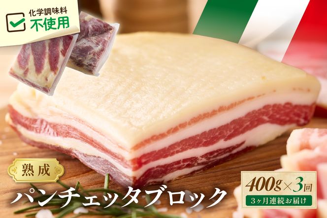 【定期便 毎月×3回】パンチェッタブロック（豚バラ肉の塩漬け）　約200g×2袋 ふるさと納税 豚肉 塩漬け ふるさと納税 ベーコン ふるさと納税 パンチェッタ 豚バラ 塩漬け スペイン料理　NI00023