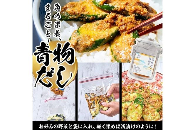 大将の今日のおすすめ！「旬の鮮魚りゅうきゅう10選と青物だし2個セット」詰め合わせ 魚 海鮮 簡単 りゅうきゅう 漬け丼 お茶漬け だし茶漬け 醤油 調味料 加工品 【GA001】【ポートラインサービス (有)】