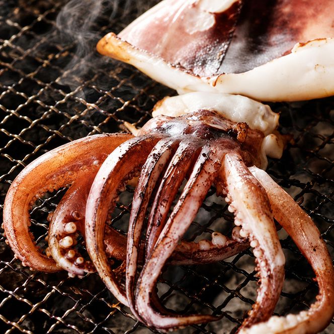 【毎月_定期便 全6回】日本海産柔らか肉厚のスルメイカ一夜干し(大)3枚　 魚貝類 イカ いか スルメイカ お酒 つまみ 特大 新鮮 保存 冷凍 国産 酒の肴 酒のつまみ myz02 myz10 myz11 myz17