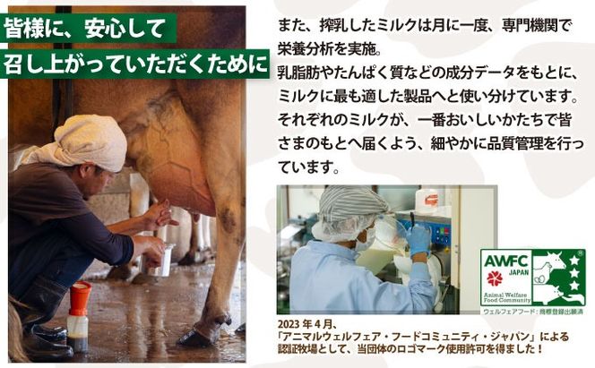 F-2 まぁじゅん牧場の チーズ＆ヨーグルトセット