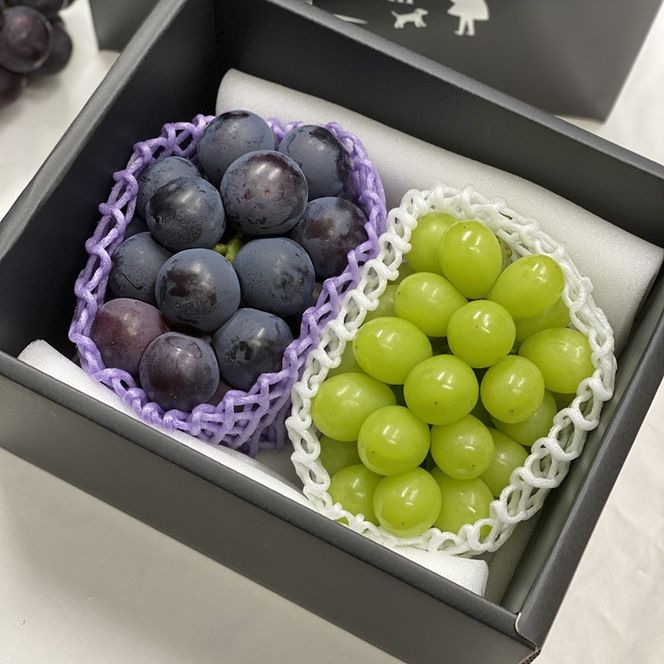 ぶどう 2026年 先行予約 農家こだわりの シャイン マスカット ＆ オーロラブラック 2房 合計約1.2kg 贈答クラス 葡萄 岡山県産 国産 フルーツ 果物 ギフト 【 Nini farm 農家 直送 】