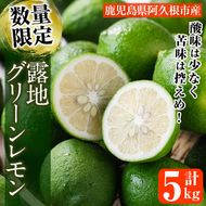 ＜先行予約受付中！2026年8月中旬以降順次発送予定＞数量限定！露地マイヤーグリーンレモン(5kg) 国産 檸檬 グリーンレモン 果実 果物 フルーツ 柑橘 デザート【桐野柑橘株式会社】akn070-17