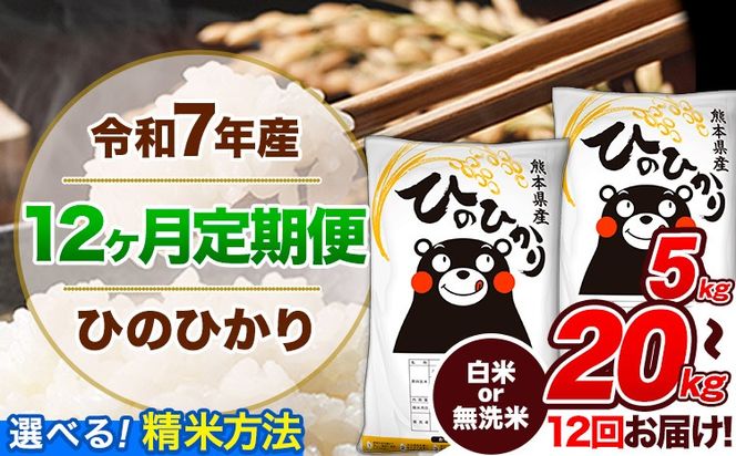 【12ヶ月定期便】令和7年産 定期便 無洗米 も選べる ひのひかり 5kg 10kg 15kg 20kg 《お申込み翌月から出荷》令和7年産 熊本県産 ふるさと納税 無洗米 白米 精米 ひの 米 こめ ふるさとのうぜい ヒノヒカリ コメ 熊本米ひのもり---hn7tei_138000_5kg_mo12_gkt_h---