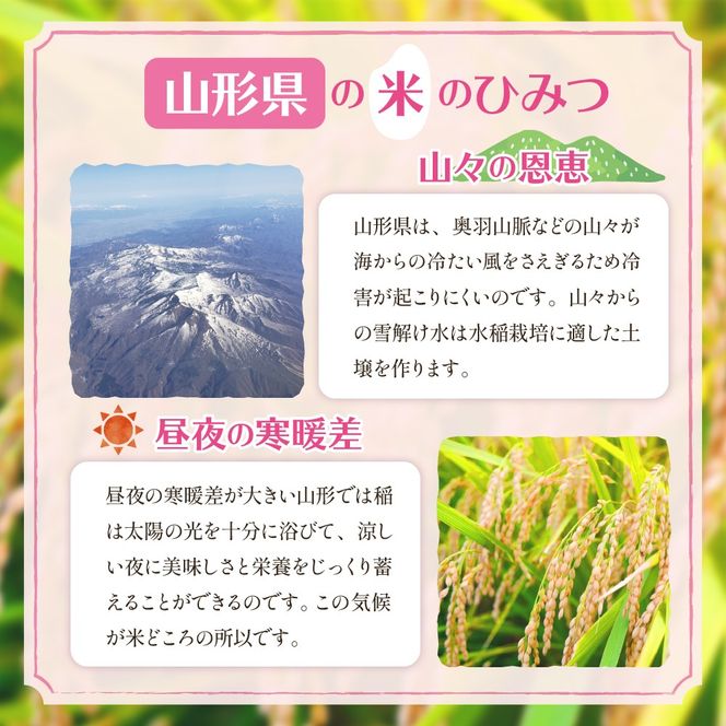 【令和6年産 先行予約】はえぬき15kg (2025年5月前半送付)JA提供 山形県 東根市　hi002-027-051