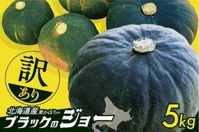 先行受付！12月頃～発送開始！北海道十勝清水町産 生産者応援！【訳あり】ホクホク！栗かぼちゃ！ブラックのジョー 5kg 北海道産 かぼちゃ カボチャ 冬至 _S021-0031
