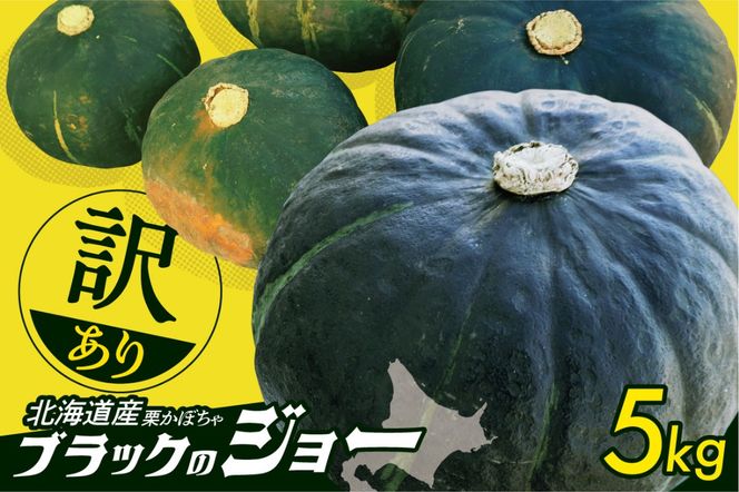 先行受付！12月頃～発送開始！北海道十勝清水町産 生産者応援！【訳あり】ホクホク！栗かぼちゃ！ブラックのジョー 5kg 北海道産 かぼちゃ カボチャ 冬至 _S021-0031