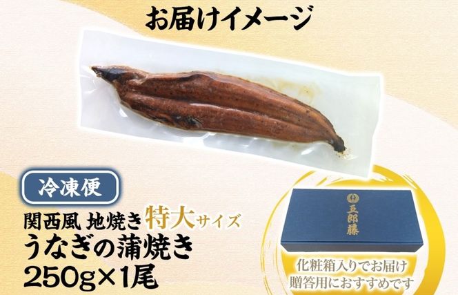 099H3443-1 【贈答用】五郎藤 関西風地焼き 国産有頭旨鰻 250g×1尾 計約250g 特大 うなぎ ウナギ 蒲焼き 炭火