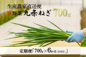 【6か月定期便】生産農家直送 京野菜・九条ねぎ700ｇ〈定期便 ねぎ ネギ 葱 九条ねぎ 京野菜 京都 新鮮 甘い 農家直送 野菜〉 京都府産 薬味 料理 食材 半年 