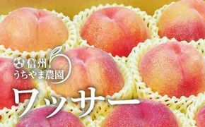 硬い桃！ワッサー約2kg (約6～8玉入り) 《信州うちやま農園》■2025年発送■※7月中旬頃～8月中旬頃まで順次発送予定