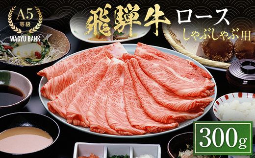 飛騨牛ロース しゃぶしゃぶ用 300g 飛騨牛 A5等級 和牛 黒毛和牛 F4N-2662