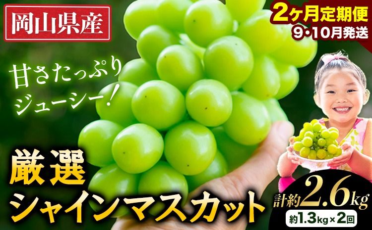 シャインマスカット [2026年発送先行予約]厳選 シャインマスカット 計約2.6kg 定期便 2か月 ぶどう 1位 マスカット フルーツ 数量限定 果物 岡山 シャインマスカット 晴王 ブドウ シャイン [2026年9月上旬-11月中旬頃出荷]---ofn_cwsmxtei_26_27000_sep2---