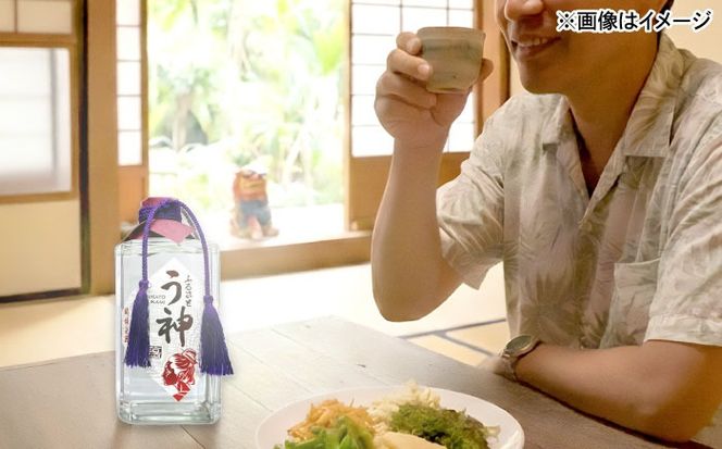 琉球泡盛 ふるさと う神 3年古酒 泡盛 沖縄 お土産 古酒 くーすー クースー くーす クース 沖縄市 / トゥワァイス[BCEJ002]