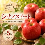 【2026年10月発送】 シナノスイート約5kg 13～18玉 りんご 長野県産