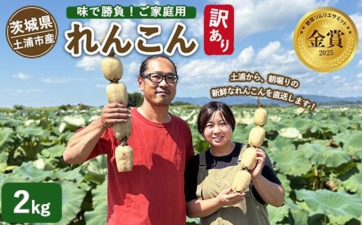 【訳あり】土浦市産 れんこん 2㎏　味で勝負！タップリ大満足！ すずき蓮根農園のご家庭用れんこん「竹 2キロ」 ｜ 産地直送 茨城県 レンコン 蓮根 野菜 シャキシャキ ※2026年8月～発送