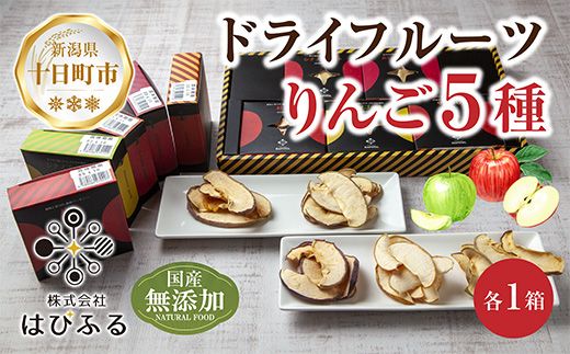 ドライフルーツ りんご 5種(シナノゴールド シナノスイート 紅玉 あいかの香り サンふじ)／乾燥りんご 林檎 リンゴ 無添加 砂糖不使用 国産 フルーツ ギフト お取り寄せ はぴふる 新潟県 十日町市 