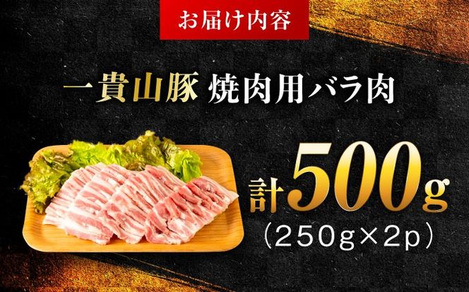 yszMR ēpo v500g(250g×2p) s / q ؓ Ⓚ[AGB034] ؓ  uh MR |[N o ؃o g 