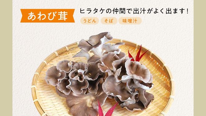 きのこ の 詰め合わせ Sサイズ ( 約1kg ) （茨城県共通返礼品：城里町） キノコ セット 野菜 低カロリー ダイエット デトックス バラエティ セット 新鮮 [DY001us]