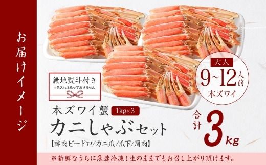 【ふるさと納税】 3865. 無地熨斗 本ズワイガニ 蟹しゃぶ ビードロ セット 1kg 3個 9-12人前 生食 カット済 ずわい蟹 ズワイガニ カニ 蟹 かに 生 蟹しゃぶ 人気 お取り寄せ キャンプ飯 バーベキュー BBQ 送料無料 熨斗 のし 名入れ不可 送料無料 北海道 弟子屈町