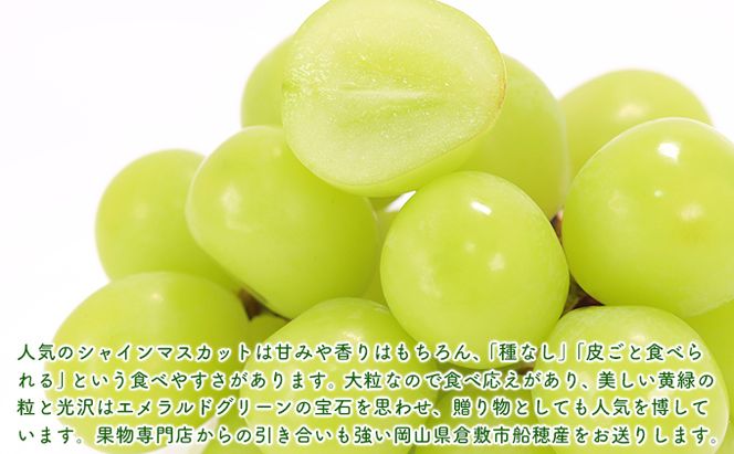 【2026年先行予約】 ぶどう 岡山県産 シャインマスカット 晴王 厳選 1房 約700g 大房 岡山県 倉敷市 船穂産 《2026年9月上旬-10月上旬頃出荷》 葡萄 ブドウ フルーツ 果物 数量限定 期間限定 里庄町
