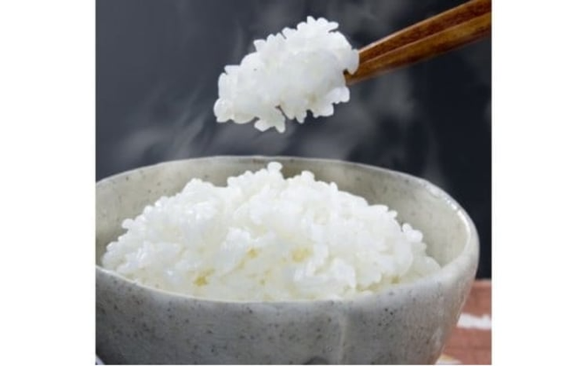 ＜定期便 全6回＞ 令和7年産米 真庭市産 太安さんちのあきたこまち 無洗米 10kg（5kg×2袋）×6回 / お米 国産 岡山県 人気 ブランド 2025年産 【tkns-tkb049-cho】