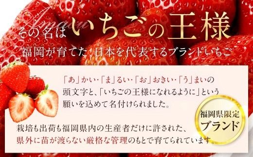 あまおう （ グランデ等級以上 ） 約250g × 6P 計約1,500 ～ 1,620g いちご イチゴ 苺 果物 くだもの フルーツ 果実 果肉 いちごの王様 国産 福岡県産 冷蔵 【 2027年2月上旬～4月下旬発送予定 】