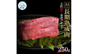 【CF-R7hbk】TKA228　天下味 エイジング工法 熟成肉 土佐和牛 特選 赤身ブロック 250g エイジングビーフ 国産 牛肉 土佐 和牛 冷凍配送 真空パック お祝い 高知 芸西村 贈り物 贈答 ギフト