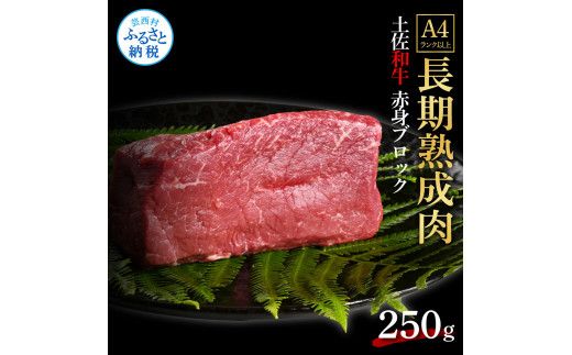 【CF-R7hbk】TKA228　天下味 エイジング工法 熟成肉 土佐和牛 特選 赤身ブロック 250g エイジングビーフ 国産 牛肉 土佐 和牛 冷凍配送 真空パック お祝い 高知 芸西村 贈り物 贈答 ギフト