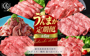【定期便全6回】鹿児島県産黒毛和牛スライス・焼肉 食べ比べコース！志布志うんまか定期便 t0117-003