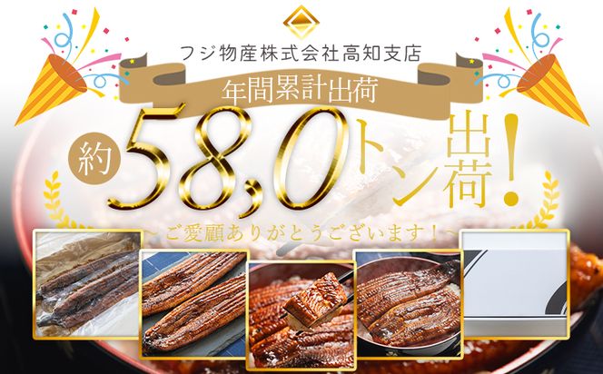 うなぎ 蒲焼き 2尾 計400ｇ 高知県産 鰻 フジ物産 国産 養殖 fb-0206