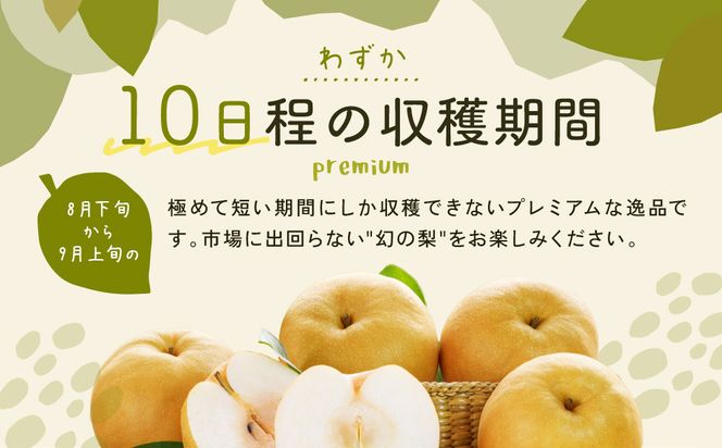 新甘泉梨 3kg箱(約6～10玉) 312011_BU005