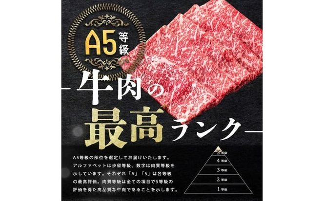 【小分け】＜A5等級＞鹿児島県産 黒毛和牛 牛肉 赤身 しゃぶしゃぶ すき焼き スライス (200g×5P/計1kg) a9-052