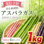 【先行予約】春限定 ひとめぼれアスパラガス 1kg 4色 食べ比べ グリーン パープル ピンク ホワイト 産地直送 農家直送 野菜 新鮮 旬 アスパラ 春野菜 サラダ カラフル バーベキュー BBQ おすそ分け ファミリー 大容量 ギフト 送料無料