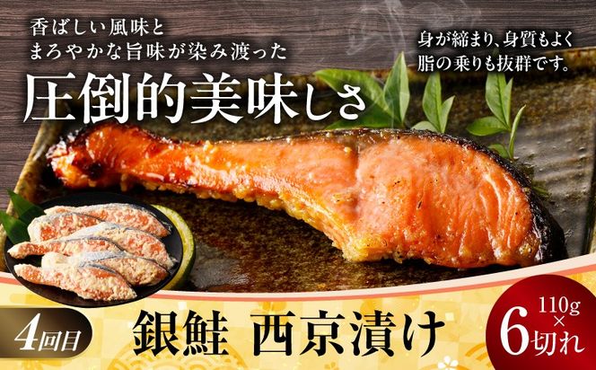 kgpZ013 【お楽しみ】4種の西京漬け 食べ比べ 定期便 全4回【銀鱈 銀鮭 メヌケ 赤魚 小分け 熟成 西京焼き 惣菜 普段使い 毎月配送コース】