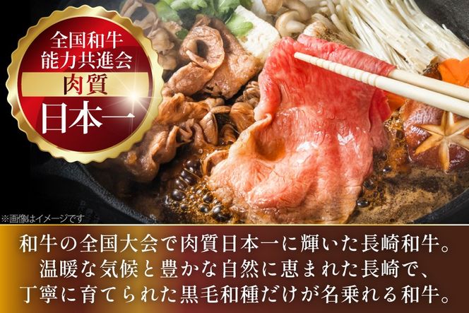 AJ557 【6回定期便】長崎和牛 もも スライス 約1kg (500g×2P) [ 肉 牛肉 和牛 高級 おいしい ステーキ肉 まるしん商会 黒牛 長崎県 島原市 ]