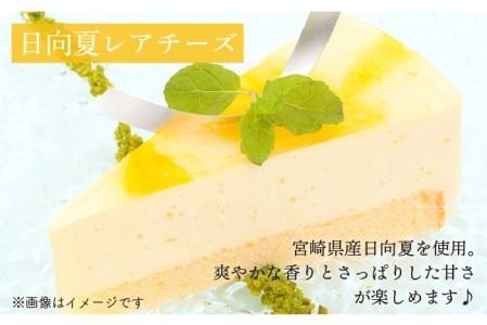 レアチーズケーキ( あまおう/ 日向夏 ) ケーキ 2種12個 冷凍 糸島市 / 五洋食品産業 [AQD008]