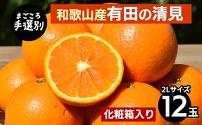 【まごころ手選別】和歌山産　有田の清見　化粧箱 2Lサイズ 12個入り