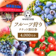 妹尾観光農園 フルーツ狩りチケット4000円 割引 チケット クーポン 利用券 フルーツ 旅行 体験 農園 北海道 仁木町 [フルーツショップ妹尾観光農園]