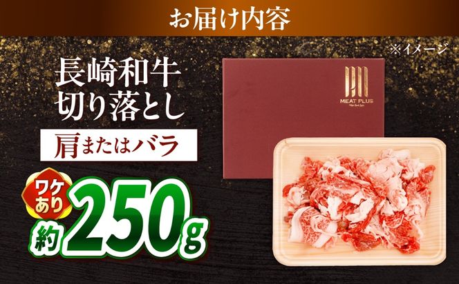【訳あり】【A4〜A5】長崎和牛切り落とし 250g / 牛肉 ぎゅう肉 和牛 / 南島原市 / 株式会社MEAT PLUS[SHG035]