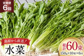 AI336 定期便 6回 水菜 10束 [ 野菜 みずな サラダ やさい 冷蔵 葉物野菜 田中農園 長崎県 島原市 ]