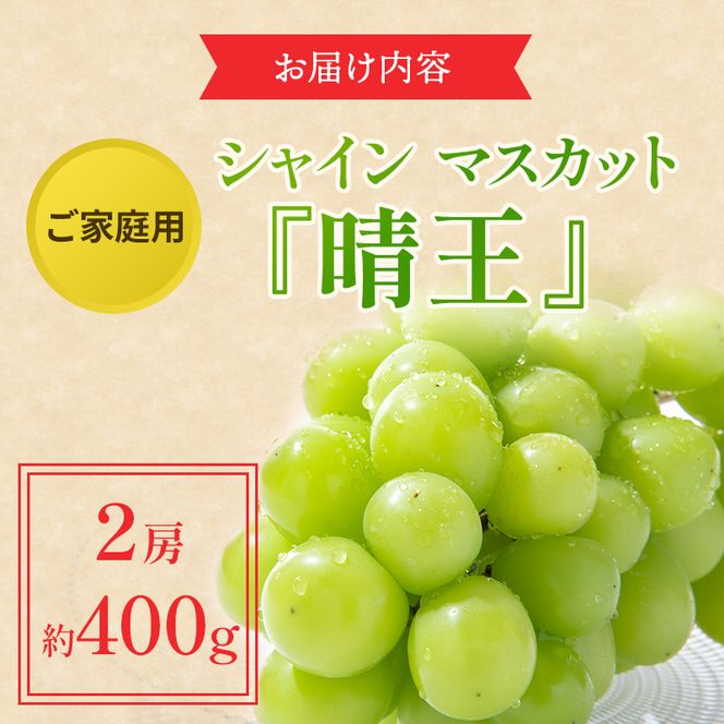 ぶどう 2026年 先行予約 ご家庭用 シャイン マスカット 晴王 約400g×2房 ブドウ 葡萄  岡山県産 国産 フルーツ 果物 太陽 美しい 外観 大粒 高糖度 種なし 皮ごと 弾力 食感 美味しい 