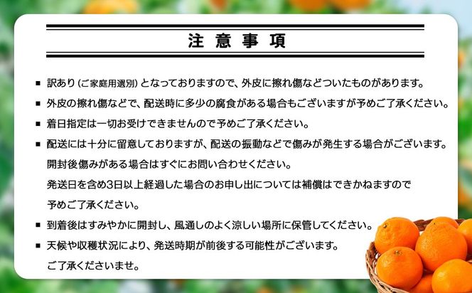 手が止まらない 訳あり 有田みかん 約5kg 大きさ無選別（2S〜3L） 糖度11度以上 鳴川農園 ［2026年11月以降発送予定］ FD02
