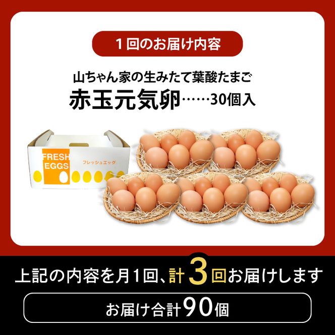 【3ヶ月定期便】【山ちゃん家の生みたて葉酸たまご】赤玉元気卵（30個入り）［132Y05-T］