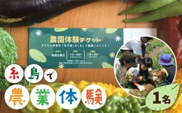 [ふるさと納税]糸島で農業体験(1名) 栽培期間中農薬不使用 無化学肥料 無除草剤の畑で野菜のお世話体験!