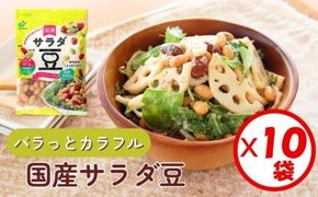 「パラっとカラフル 国産サラダ豆 120g」×10袋 ※離島への配送不可